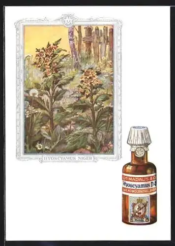 AK Dr. Madaus homöopathische Heilmittel, Bilsenkraut