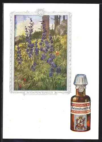 AK Dr. Madaus homöopathische Heilmittel, Eisenhut-Sturmhut