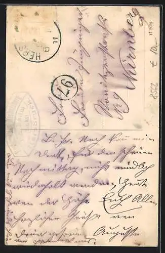 AK Hersbruck, Michelsberg, Pegnitzpartie & Panorama mit Arzberg