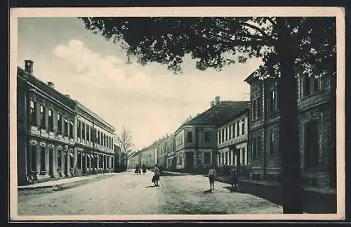AK Ceske Velenice, Beseda