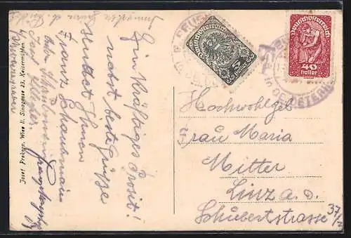 AK Peuerbach /O.-Oe., Ortspartie aus der Vogelschau