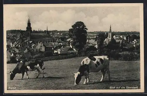 AK Eupen, Blick auf die Oberstadt mit Kühen