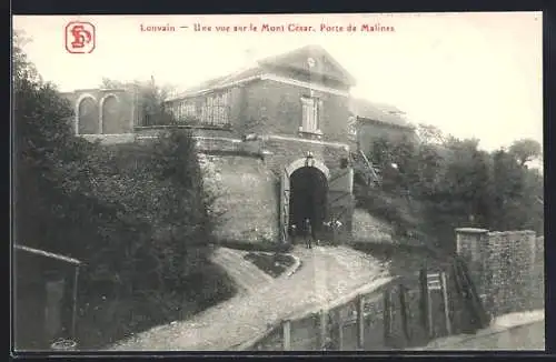 AK Louvain, Une vue sur le Mont Cesar, Porte de Malines