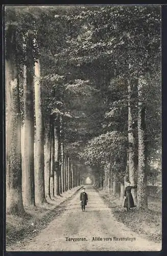 AK Tervueren, Allée ver Ravensteyn