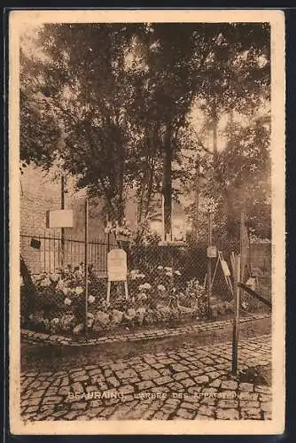 AK Beauraing, L`Arbre des Apparitions