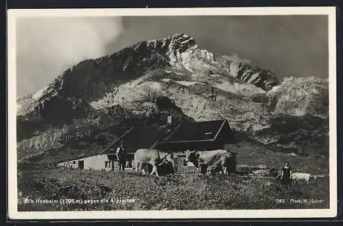 AK Hochalm, Alm gegen die Alpspitze