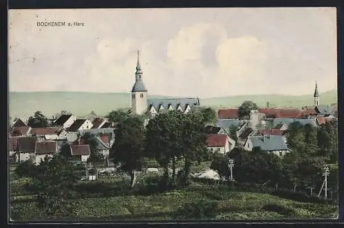 AK Bockenem a. Harz, Blick auf den Ort