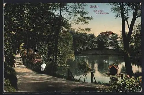 AK Goslar, Kahnteich am Zwinger