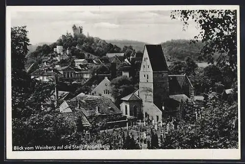 AK Pappenheim / Bayern, Blick vom Weinberg