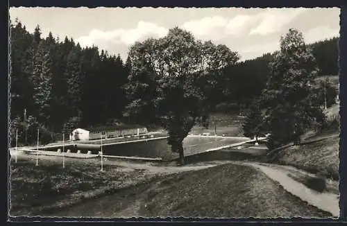 AK Lauscha /Thür., Waldbad im Steinachgrund