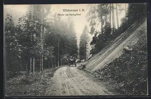 AK Wildemann i. H., Partie im Spiegeltal