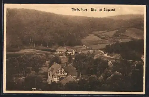 AK Wieda /Harz, Blick ins Ziegental