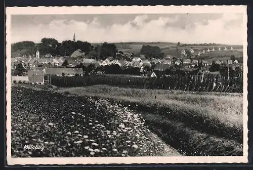 AK Mainburg, Blick auf den Ort