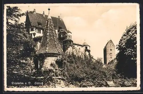 AK Leipheim a. D., Schloss umgeben von Bäumen