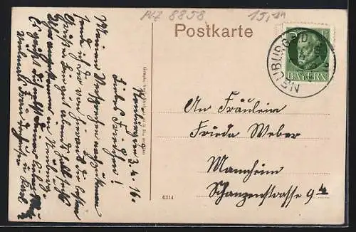 AK Neuburg a. D., Ortsansicht mit Flusspartie