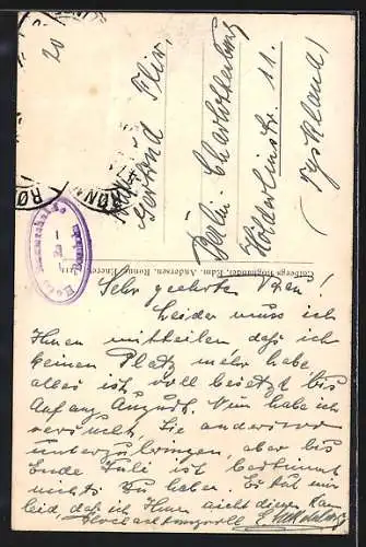 AK Hammershus /Bornholm, Ruiner, Manteltaarnet set fra Slotsgaarden