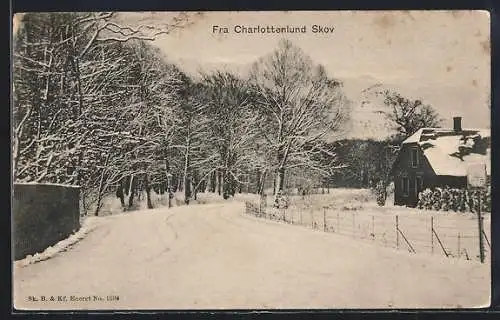AK Charlottenlund, Skov