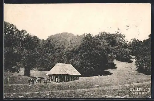 AK Dyrehaven, Foderhusen