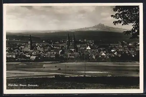 AK Weiden /Bayer. Ostmark, Ortsansicht mit Berg im Hintergrund