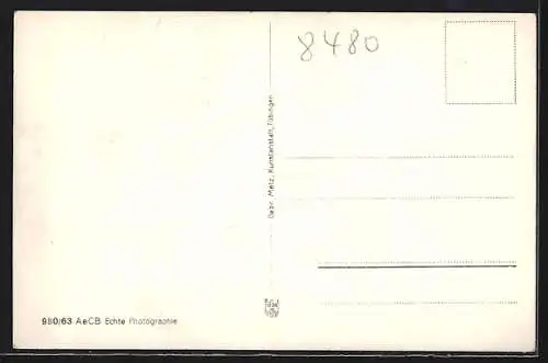 AK Weiden /Bayer. Ostmark, Ortsansicht mit Berg im Hintergrund