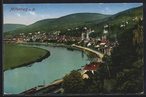 AK Miltenberg a. M., Ortsansicht aus der Vogelschau