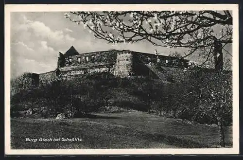 AK Giech /Schesslitz, Blick auf die Burg mit blühenden Bäumen