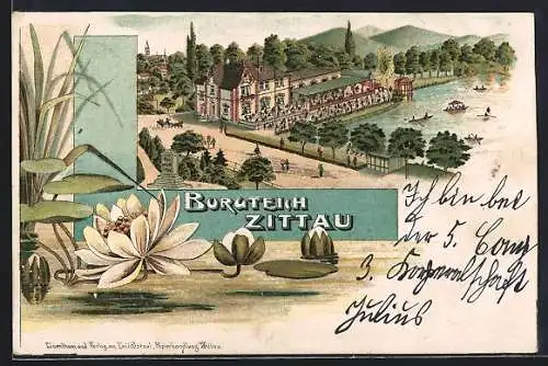 Lithographie Zittau, Gasthof Burgteich im Seerosen-Rahmen