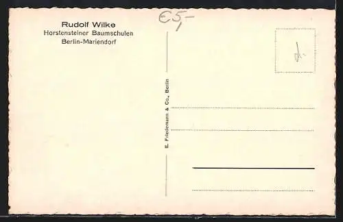 AK Berlin-Mariendorf, Horstensteiner Baumschulen von Rudolf Wilke