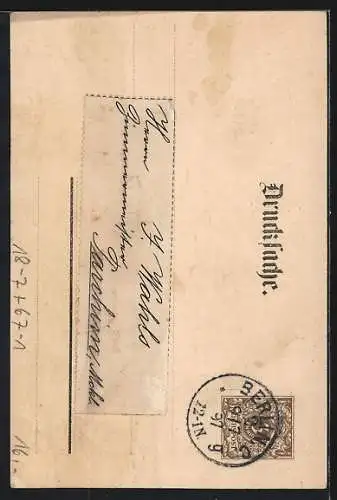 AK Hamburg, Allgemeine Gartenbau-Ausstellung 1897, Das Gelände aus der Vogelschau, Ganzsache