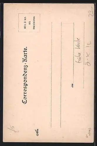 Lithographie Innsbruck, Das Schloss Weiherburg, Ortspartie