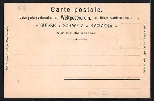 Lithographie Ragatz, Ortsansicht, Tamina-Schlucht