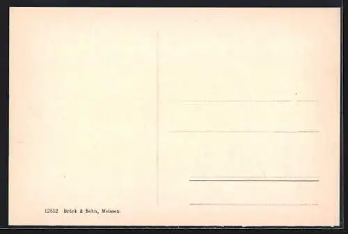 AK Leitmeritz / Litomerice, Blick nach der Kaiser-Franz-Josefs-Höhe im Villenviertel