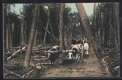 AK Argentina, Chaco-Bireyes Clevando madera