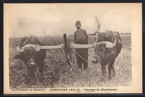 AK Campagne 1915-16, Paysan de Macédoine