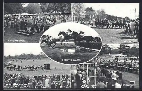 AK Sussex, Frontwell Park, Over the Water, In the Paddock, Winner`s Enclosure