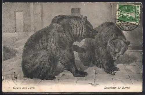 AK Bern, Zwei Bären im Bärengraben