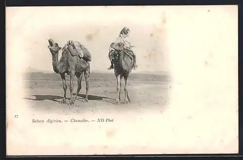 AK Sahara Algérien, Chamelier