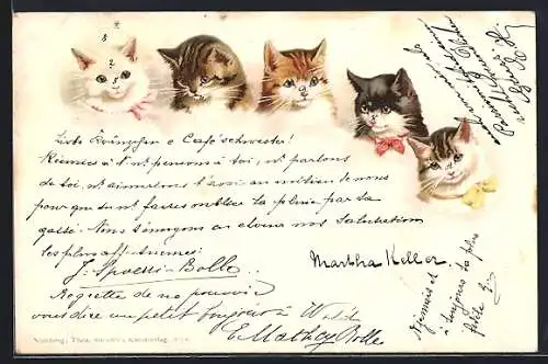 Lithographie Fünf kleine Katzen in einer Reihe