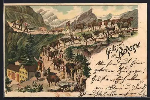 Lithographie Alpfahrt, Abtrieb von Rindern verschiedener Rassen