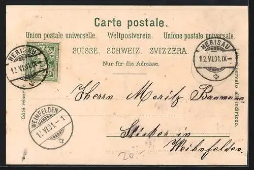 Lithographie Alpfahrt, Abtrieb von Rindern verschiedener Rassen