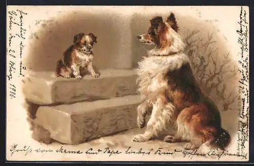 Lithographie Collie begegnet einem kleinen Hund auf einer Treppe