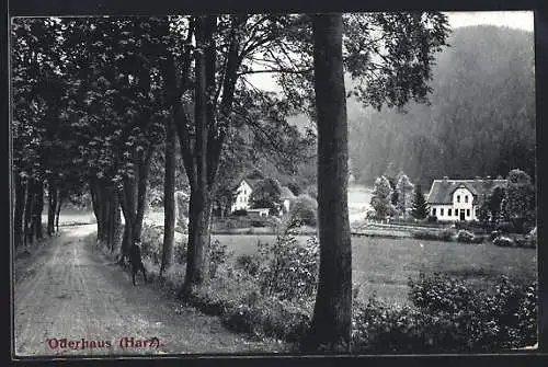 AK Oderhaus, Partie an der Allee