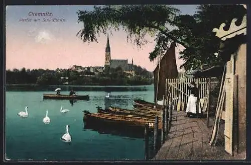 AK Chemnitz, Partie am Schlossteich