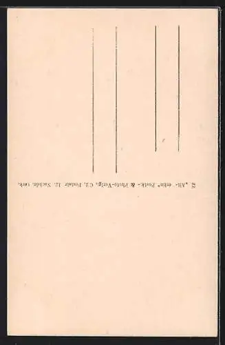 AK Berlin, Eingang zum Ephraim`sches Palais, Poststrasse 16