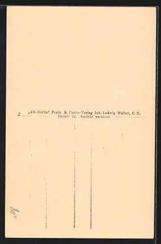 AK Berlin, Orgel in St. Marien-Kirche, Kaiser-Wilhelm-Strasse