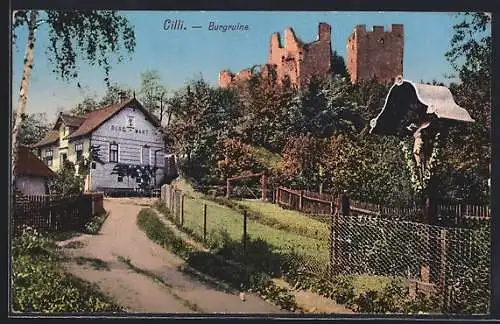 AK Celje / Cilli, Burgruine und Gasthaus Burg-Wart