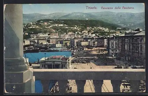 AK Trieste, Panorama dalla Pescheria, Dampfer