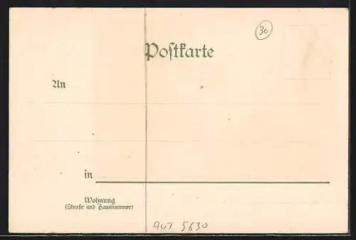 Lithographie Gastein, Ortsansicht