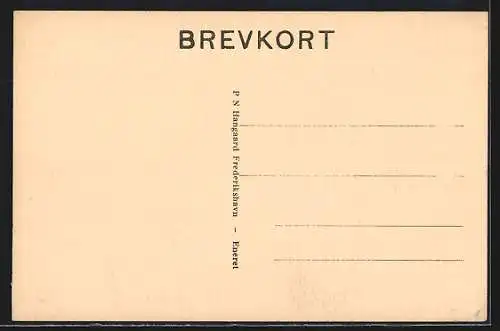 AK Hirsholmene, Panorama