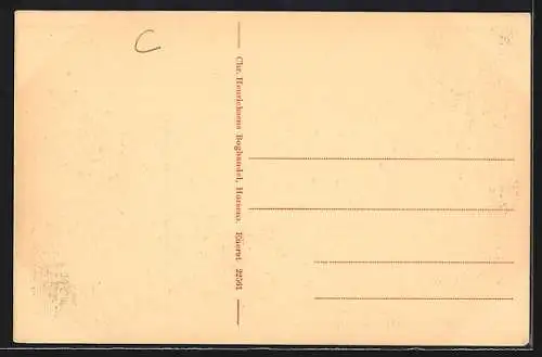 AK Horsens, Gaardinterior